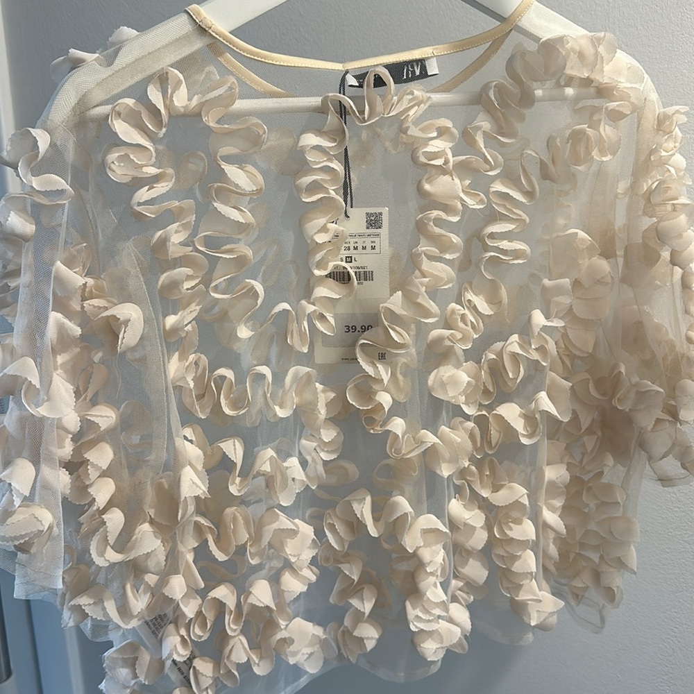 Zara Textured Tulle Top Semi-sheer Top Round Neck Short Sleeve - Picture 6 of 7